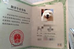 翻译证书报考条件