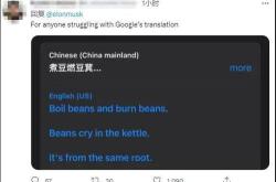 英文翻译前面那个字母什么意思