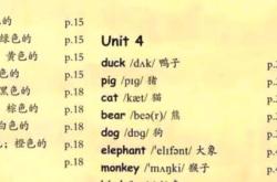 三年级二班英语翻译