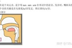 舌头的英语翻译