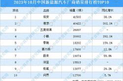 江西新能源有限公司