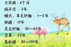大垃圾英文翻译