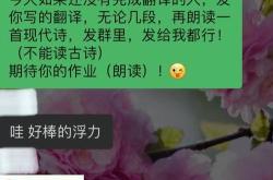 真的很棒英语翻译