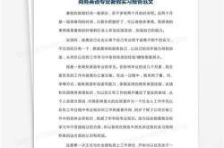 翻译实践报告论文模板