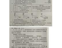 德阳化学翻译招聘信息