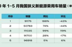 5月新能源车销量出炉