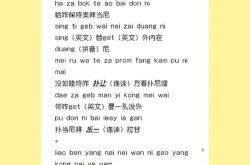网红翻译英文
