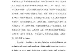 病理报告翻译