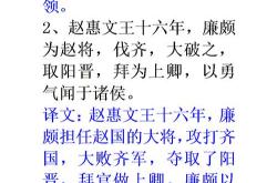 借使文言文意思