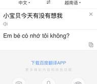 有没有看视频自动翻译字幕的软件