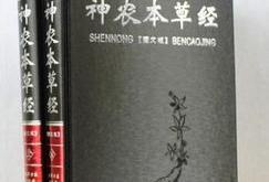 文天祥即事翻译