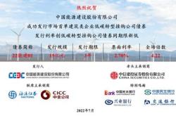 中国新能源集团简介