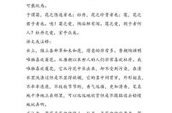 莲花古诗意思