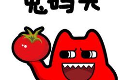 我没有去远处玩翻译成英文