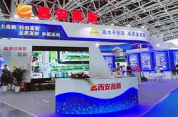 聚点科技有限公司