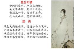 茅屋为秋风所破歌翻译
