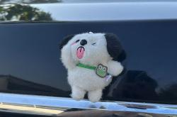 屁股尾部痛是什么原因