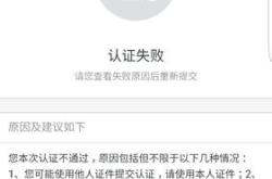 拍照识别翻译app