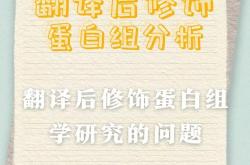 蛋白质翻译后修饰名词解释