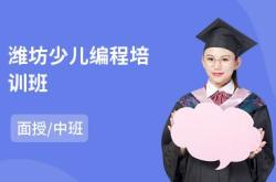 潍坊少儿编程培训学校