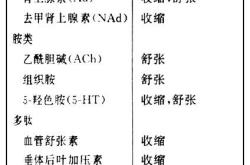 翻译的产物是不是蛋白质