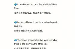 意思是英语翻译