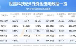 世嘉科技公司有投资价值吗