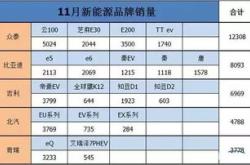 2021年中国电动车销量排行榜