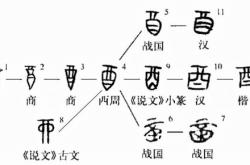 什么是数字甲骨共创计划？