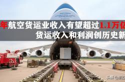 2023年全球航空业收入破纪录，迈向万亿美元的辉煌