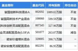 品茗科技年度派息决策股权登记日与投资者利益分析