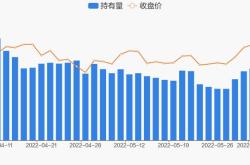 微创医疗获摩根大通增持万股