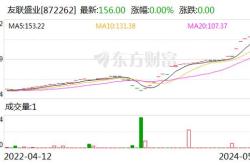 长虹佳华股价异动分析下午盘快速下挫的背后