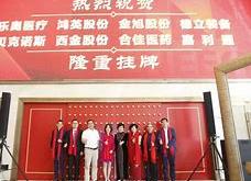 保险中介迷途探路新三板挂牌机构昌宏股份拟弃保险转行体育