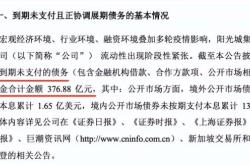 中集车辆股份
