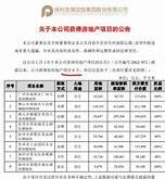 保利发展拿地策略调整与去库存降负债的双重挑战