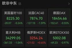 全球股市震荡美股期指下滑与法国政坛动荡的双重影响
