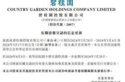 佳兆业集团资金链