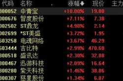电商概念逆势拉高，若羽臣直线封板