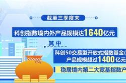 上海：加强创业投资与科创板等市场板块的联动英伟达创月底以来收盘新低