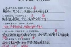灵溪胞胞翻译