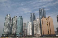 上海中环一号，疫情下的社区生活与城市韧性