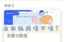 如何在编程过程中选择适合的饮料？