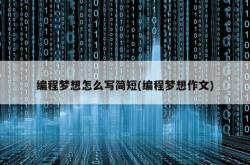 关于编程作文