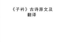 子衿翻译英文怎么读