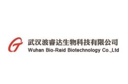 湖北鼎龙控股有限公司