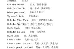 翻译pilot