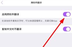 启动翻译的英文