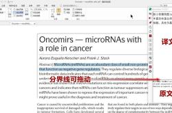 外文文献翻译网站