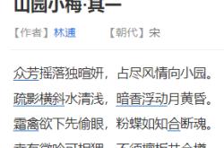 山园小梅翻译和赏析注音